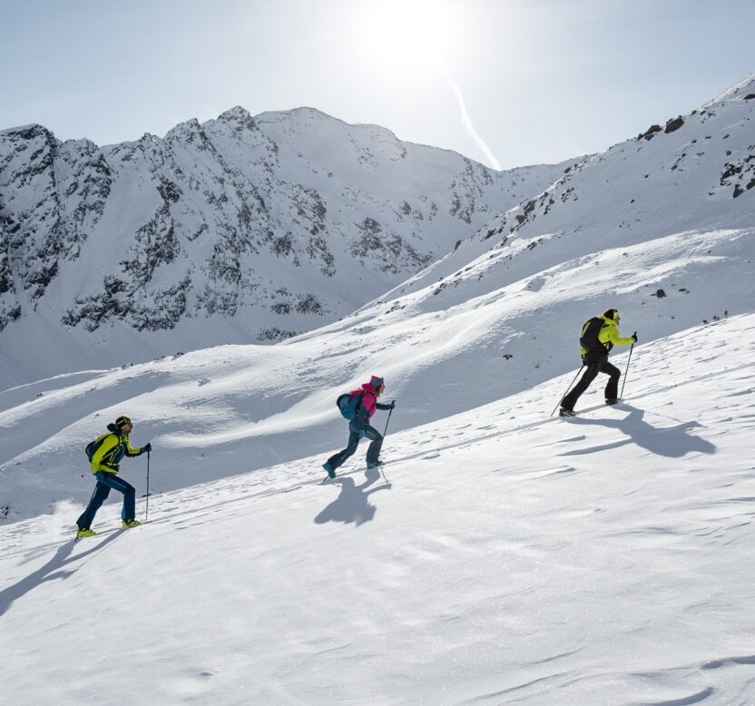 Pack Ski de Randonnée – Tous niveaux (peaux incluses)